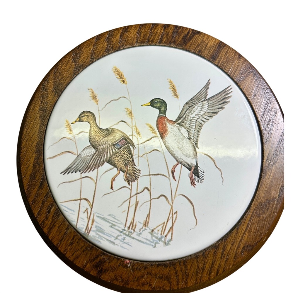 Duck Hot Plate Wall Plaque 8.5in Brown Oak Ceramic Vintage Cottagecore Farmhouse